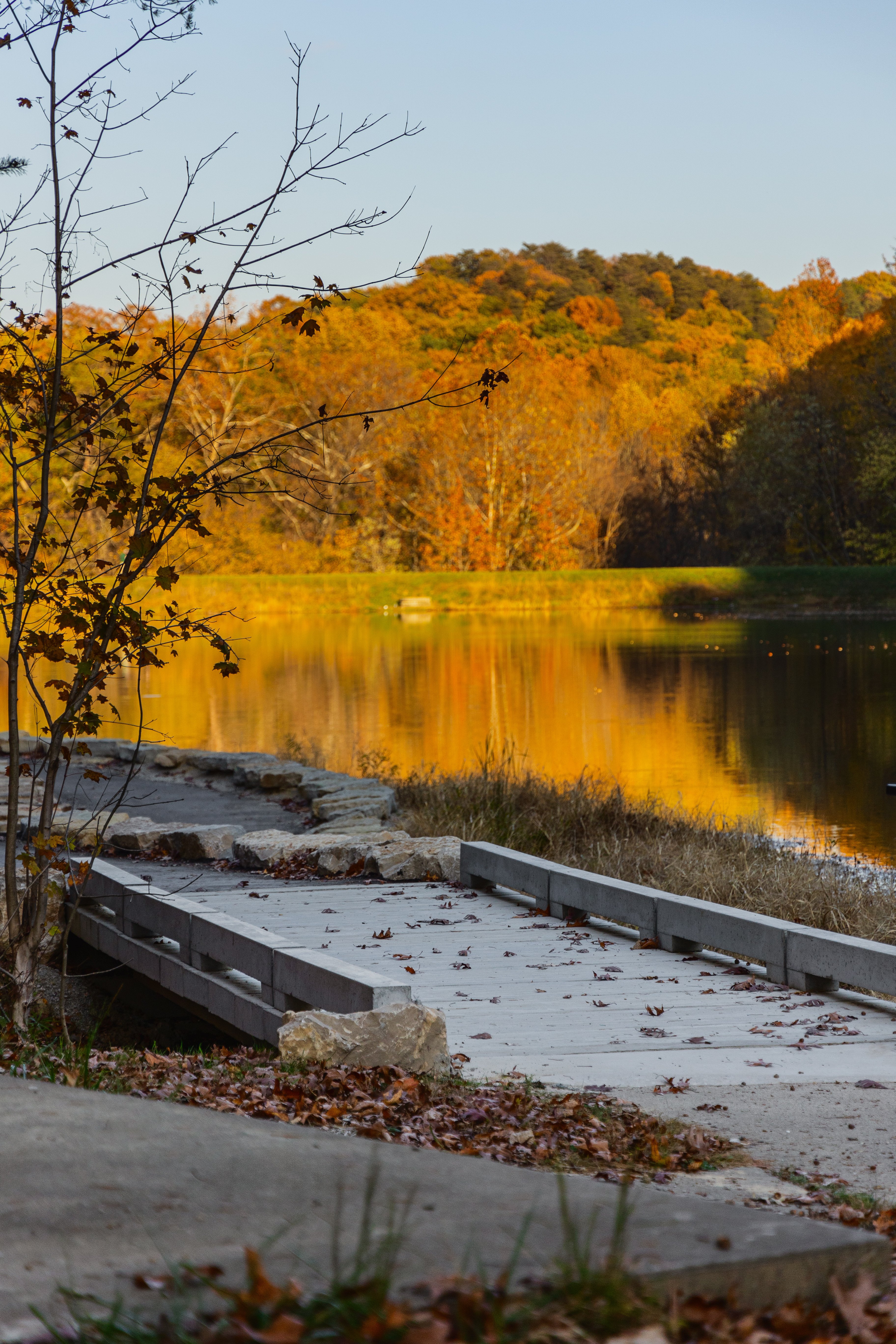 016 - Tom Wallace Park