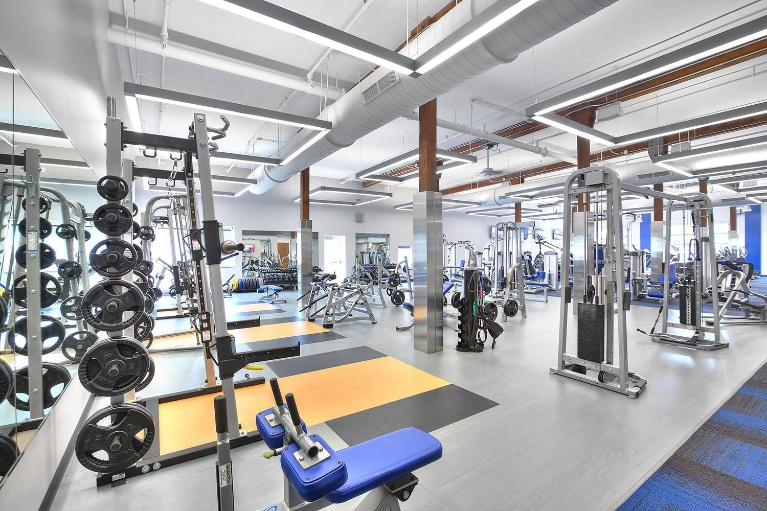 university-of-kentucky-employee-wellness-center-free-weights